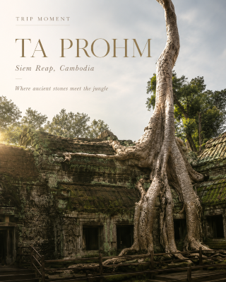 Ta Prohm Temple: Where Ancient Stones Meet the Jungle 🌿🏛️