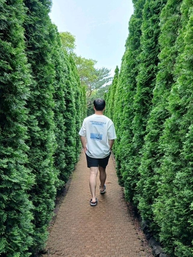 제주도 자유여행 꿀팁 (2편)