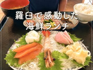 【北海道・羅臼】羅臼で感動した海鮮ランチ！🐟