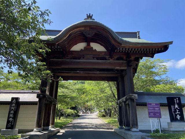 🏮小樽隱世秘境|住吉神社+天上寺夏日閒遊散步路線🌸
