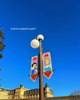 東京ディズニーランド🏰 東京を訪れるディズニーファンにとって必見のスポットの一つです。