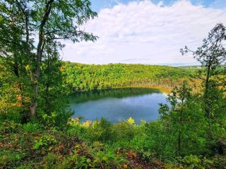 🌿 A Hidden Natural Gem in New York: Discovering the Beauty of Clark Reservation State Park
