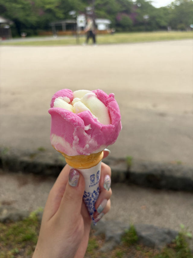 【秋田】駅チカで満喫!ご当地グルメ&歴史さんぽ旅🍶🌿
