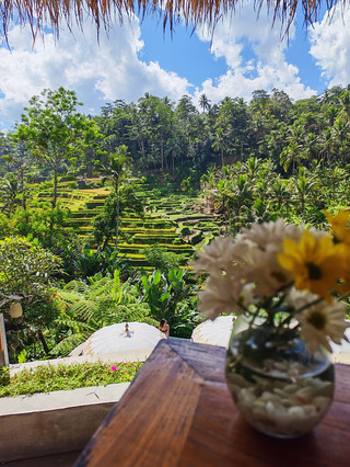 Dreaming of a Bali escape? Here’s my ultimate itinerary covering Ubud’s rice fields, sunrise at Mt Batur, Tegenungan Falls, and those dreamy temples 🌴✨ The highlight: sunrise trekking to a volcano and a whole lot of natural wonder — get ready to soak up those zen island vibes!

Top Spots to Visit in Bali:

1. Ubud
This artsy town (Ubud, Gianyar Regency) is open 24/7 and perfect for exploring on foot or scooter. Don’t miss the lush paddy fields and local temples — early morning walks are magic. Grab some nasi campur at a warung for true local flavor.

2. Tegenungan Waterfall
Address: Kemenuh, Sukawati. Open 06:30–18:30 daily. Go as early as possible (ideally before 8 AM) to snag beautiful shots minus the crowds — and pack sturdy sandals, the paths can get slippery!

3. Mount Batur (Gunung Batur)
Location: South Batur, Kintamani. Open all day, entry fee: 185k IDR. Do the sunrise trek for golden hour views over Bali — book a local guide from your guesthouse for a smoother start and bring a light jacket (it gets chilly before dawn).

Getting Around: Rent a scooter for max flexibility — just make sure you’re comfortable with Bali traffic. Otherwise, reliable private drivers are easy to book (you may ask your accommodation for transit help although may be slightly more expensive).

Pro Tip: Carry cash for entrance fees and local eats — some rural spots don’t accept cards. Weather is reliably warm, chilling at night (July).

Ready for waterfalls, volcanoes, and jungle trails? Bali’s calling! #BaliAdventures  #UbudVibes  #MountBaturTrek  #BaliWaterfalls  #tripdotcom budDiaries #