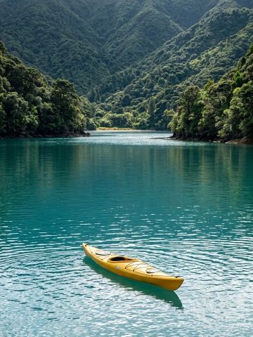 Marlborough Sounds — 峽灣與翠綠山丘的世界