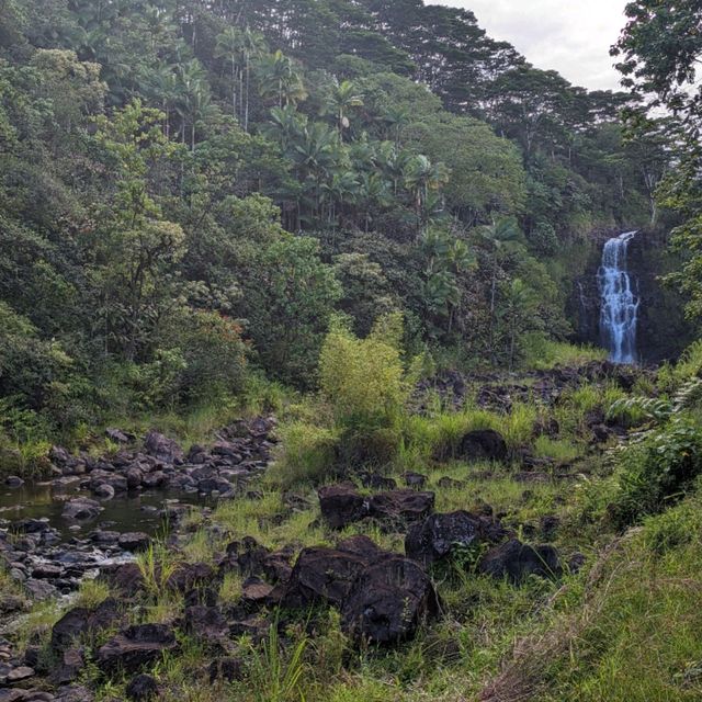 Hiking around The Inn at Kulaniapia Falls