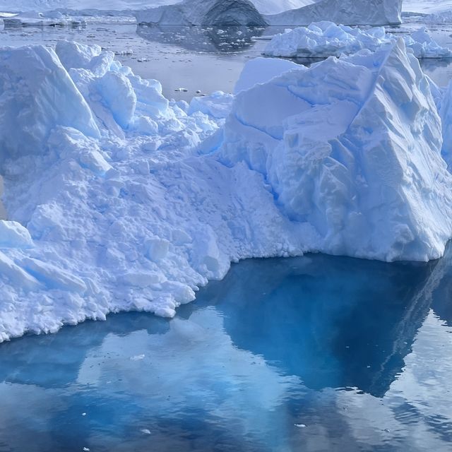 Antarctica, South Georgia, Falkland 