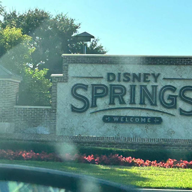 Disney Springs Resort