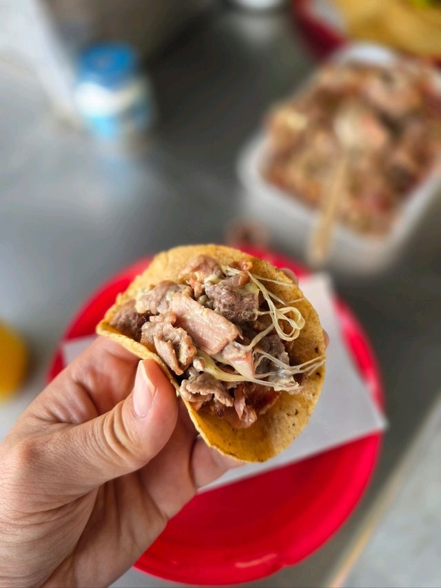해외여행 백종원도 다녀간 멕시코 시티 타코맛집 El Taquito Sotelo