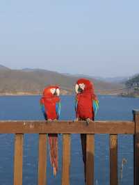 As a nature lover you will enjoy this place to relax your mind