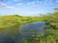 Bundala National Park