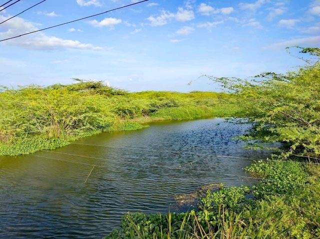 Bundala National Park