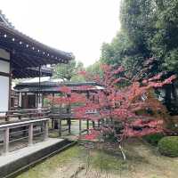 追溯古代日本傳統美學之旅：京都嵯峨野大覺寺 