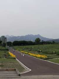 Quietness of Sky park (‘Haneul’ Park) 