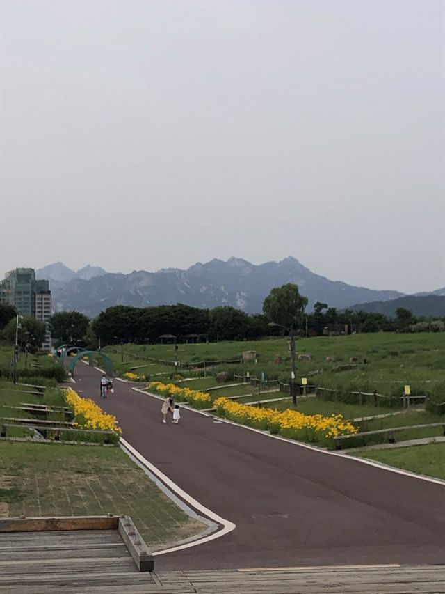 Quietness of Sky park (‘Haneul’ Park) 