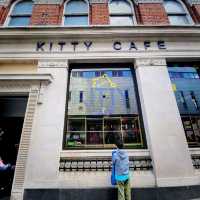 英國人氣貓Cafe~ Kitty Cafe