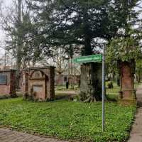 Traveling through time: The cemetery of Frankfurt