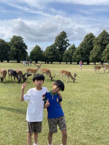 Deer Viewing Sanctuary |Great Parks Near the UK