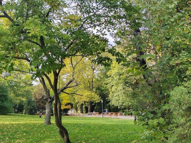 Türkenschanzpark Vienna in autumn 🗺️