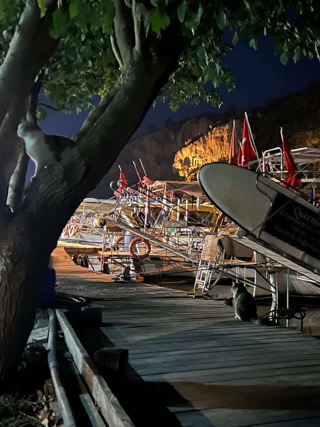 Turkey: Dalyan ancient tombs