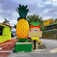 🍍名護鳳梨園🍍代表沖繩之水果