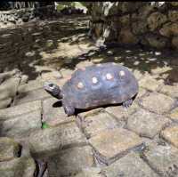 Wonderful wildlife in Barbados