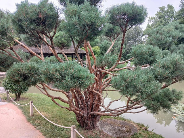 Pierre-Baudis Japanese Garden 🇫🇷