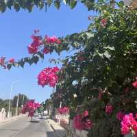 Incredible trip to Alguero