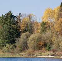 A Tranquil Paddle Through Autumn’s Colors 🌲🍁