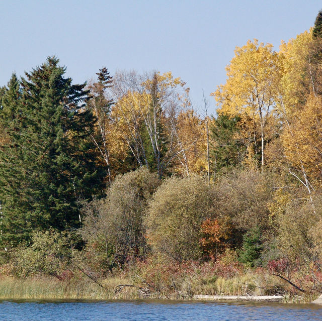A Tranquil Paddle Through Autumn’s Colors 🌲🍁