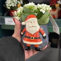 Buy these cute planters at Sainsbury’s!