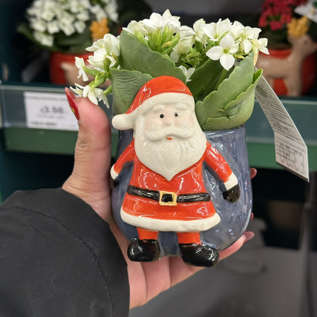 Buy these cute planters at Sainsbury’s!