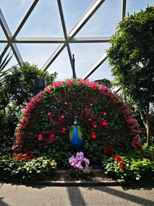 An awesome visit to canopy park 😎
