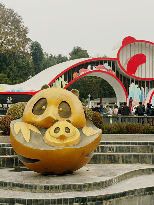 Best place to see Pandas in Chengdu?