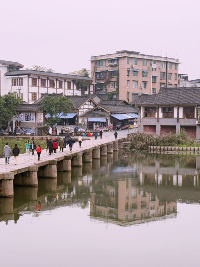 A Day of History and Wonders: Shuju Ancient Town & Leshan Giant Buddha