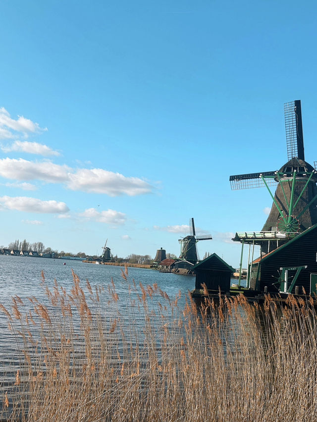 在运河边慢下来 | Amsterdam, Netherlands 