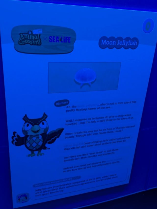 Sealife centre Manchester - Animal crossing new horizons - 