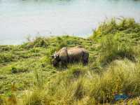 Chitwan National Park