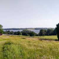 Lunch, Lavender & Luxury at the delightful Hambleton Hall 🏞️