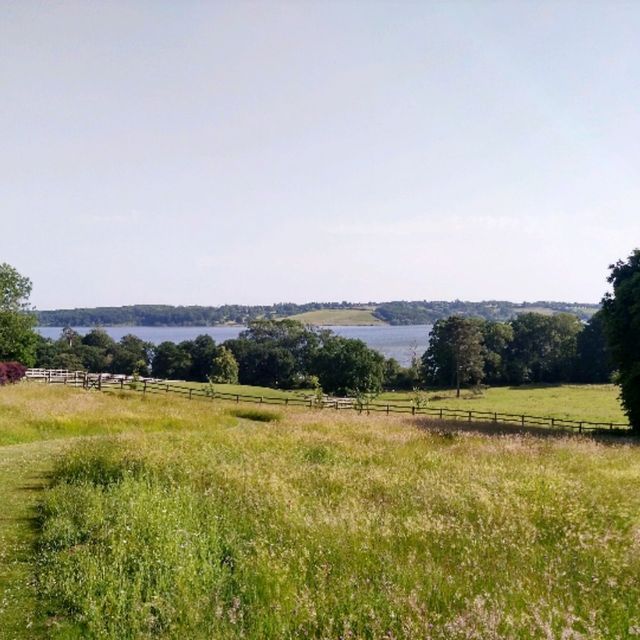 Lunch, Lavender & Luxury at the delightful Hambleton Hall 🏞️ Lunch, Lavender & Luxury at the delightful Hambleton Hall 🏞️