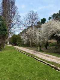 A Walk Like a Painting