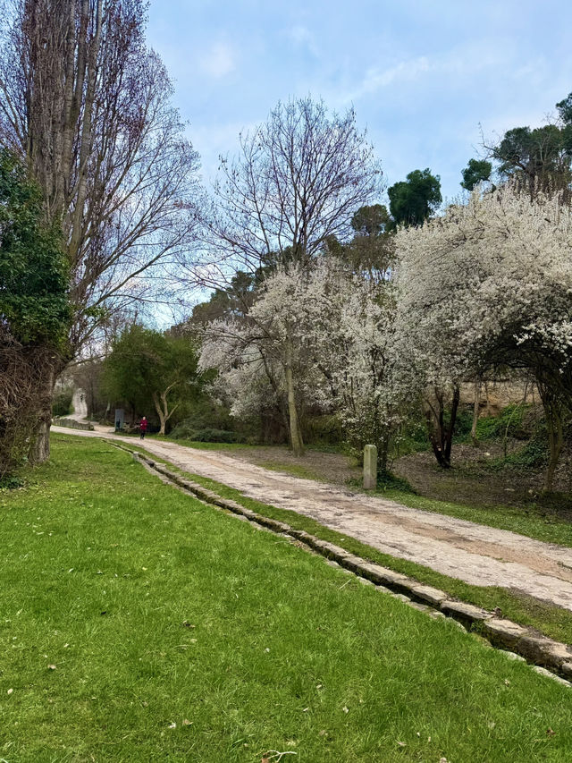 A Walk Like a Painting