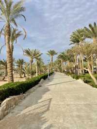 🌴 Sharm El Sheikh Vibes: One Week of Clear-Blue Relax & Walk-Everywhere Fun 