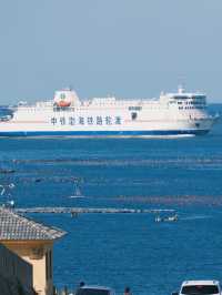 A Day in Lüshun: History, Nature, and Surprises by the Sea