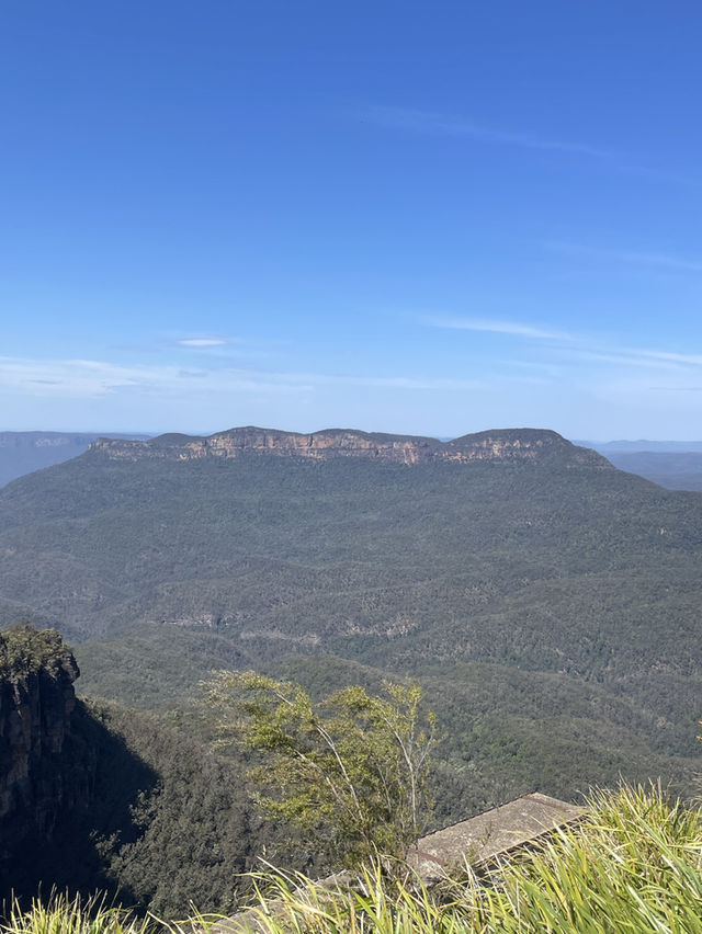 🌿 รีวิวเที่ยว Blue Mountains, Australia 