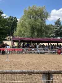 Warwick Castle Joust 