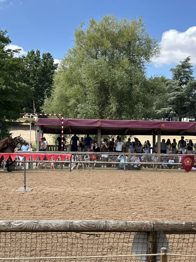 Warwick Castle Joust 