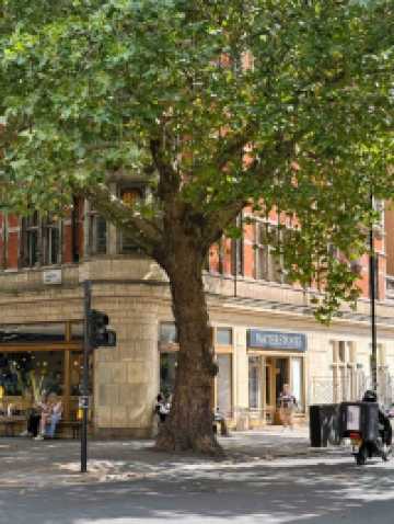 ✨ London’s Timeless Charms: From Blooms to Busts 🌸🏛️