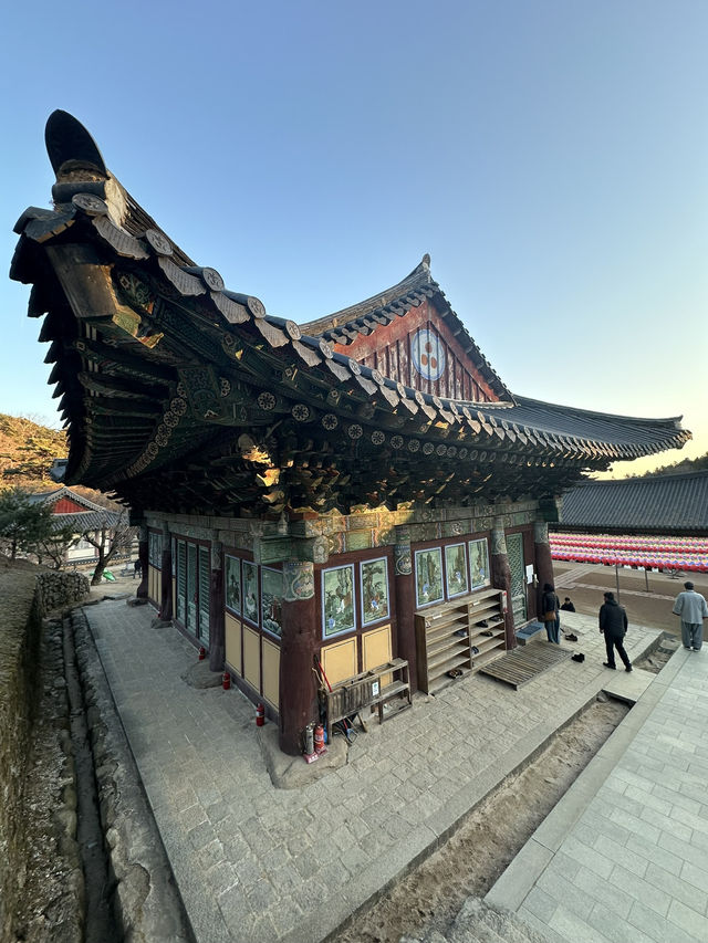 Hereโs how to conquer Daegu in one epic day! Hereโs how to conquer Daegu in one epic day!