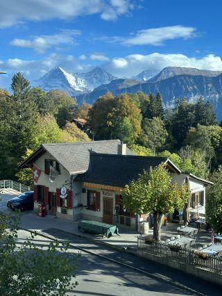 Parkhotel 評論：夢想著清新的高山空氣和壯麗的全景